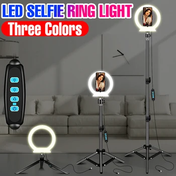 Светодиодный кольцевой светильник с подставкой для штатива Selfie Ringlight Dimmable Led Fill Light USB Makeup Video Light Live Photo фотостудия