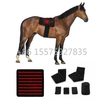 Светодиодный Красный светильник ближнего инфракрасного света для терапии домашних животных, светодиодный светильник для лошадиной терапии красным светом, коврик для спины лошади